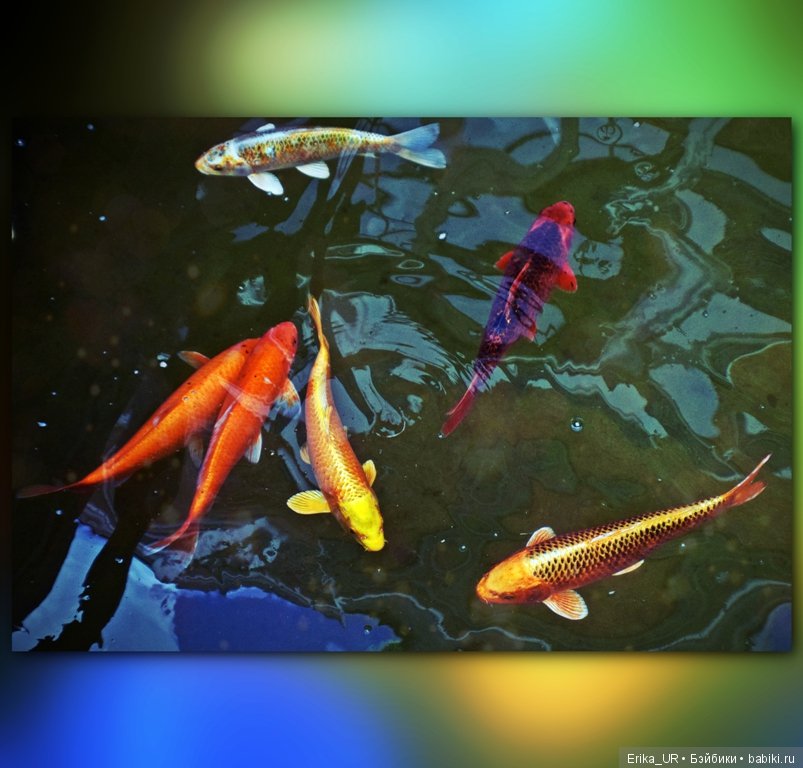 Аптекарский огород (Москва) теперь вот и моими глазами