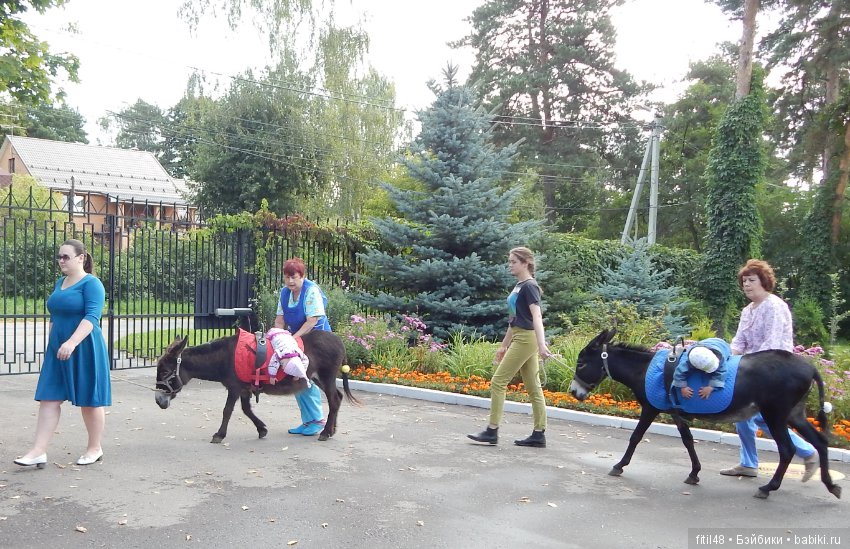 Лечебная верховая езда — Интересное и необычное: фотоподборки