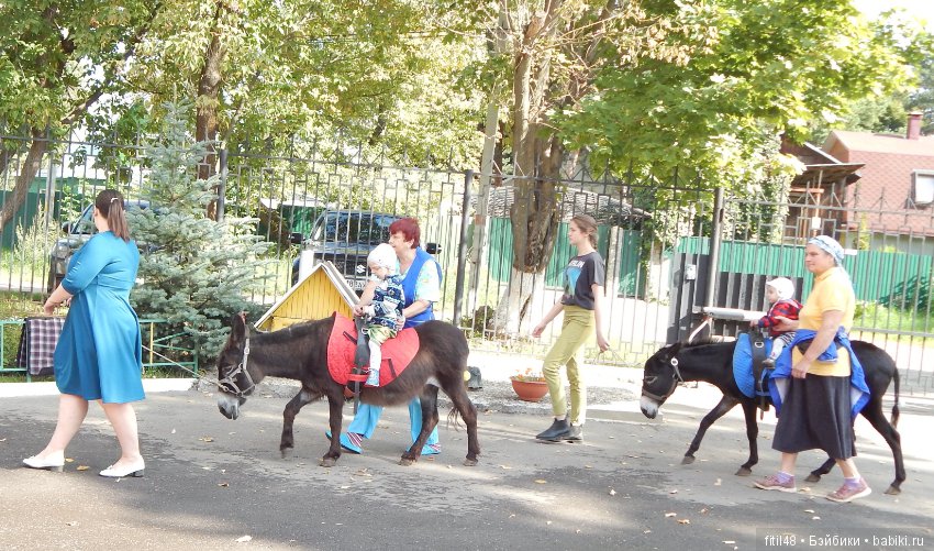 Лечебная верховая езда — Интересное и необычное: фотоподборки