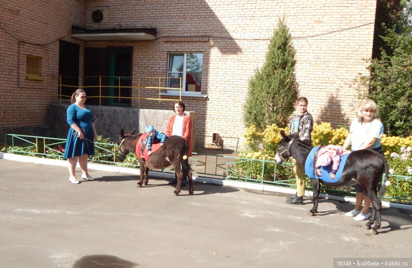 Лечебная верховая езда — Интересное и необычное: фотоподборки