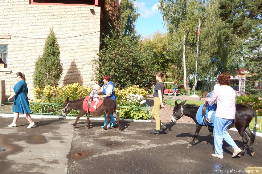 Лечебная верховая езда — Интересное и необычное: фотоподборки (фото 3)
