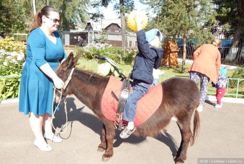 Лечебная верховая езда — Интересное и необычное: фотоподборки