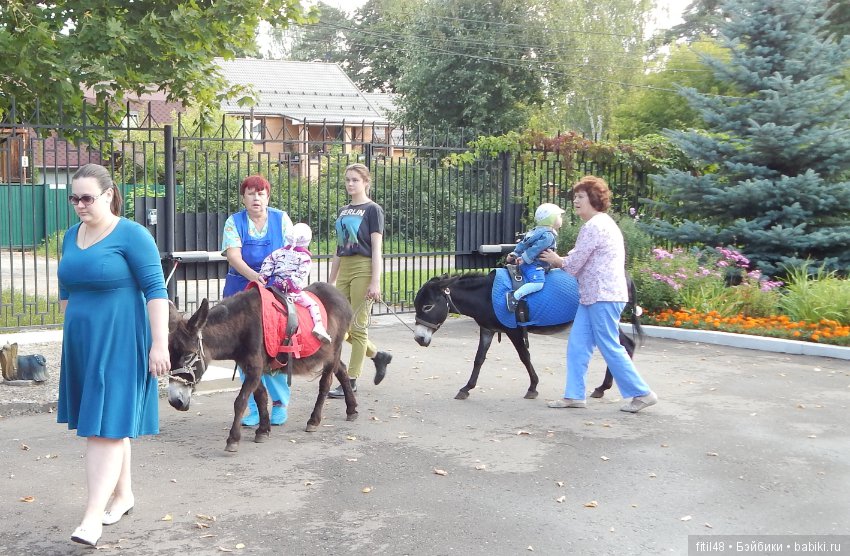 Лечебная верховая езда — Интересное и необычное: фотоподборки (фото 9)