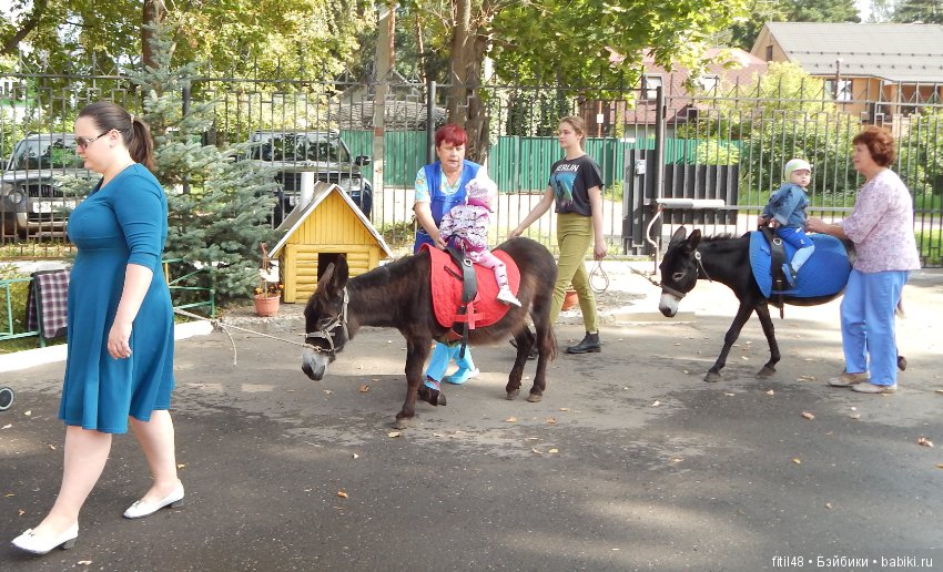 Лечебная верховая езда — Интересное и необычное: фотоподборки (фото 5)