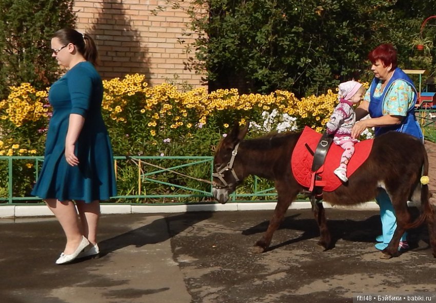 Лечебная верховая езда — Интересное и необычное: фотоподборки (фото 6)