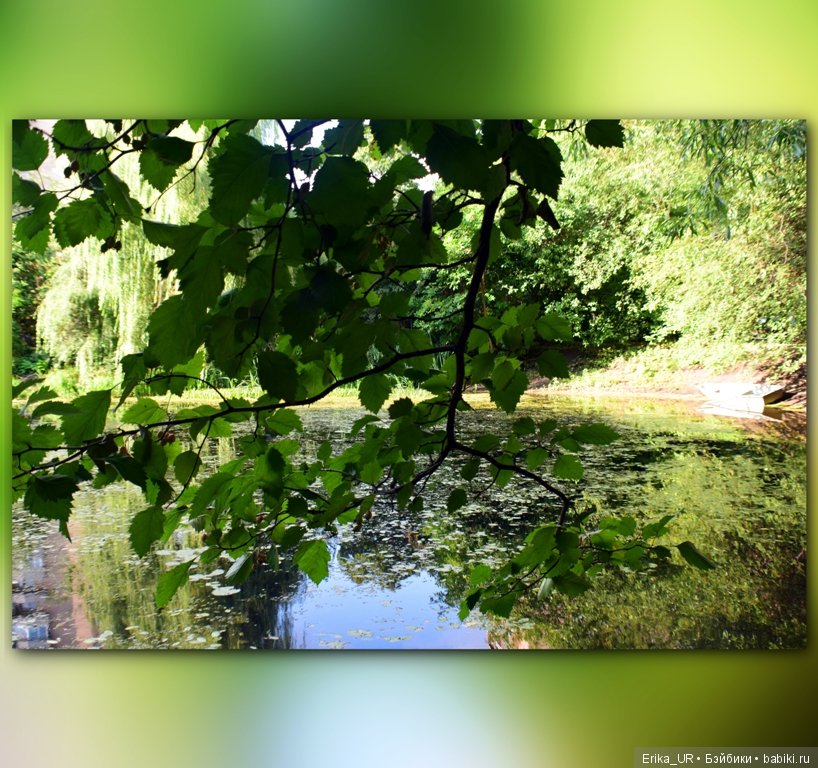 Аптекарский огород (Москва) теперь вот и моими глазами