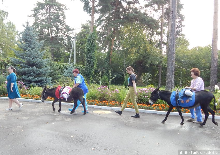 Лечебная верховая езда — Интересное и необычное: фотоподборки