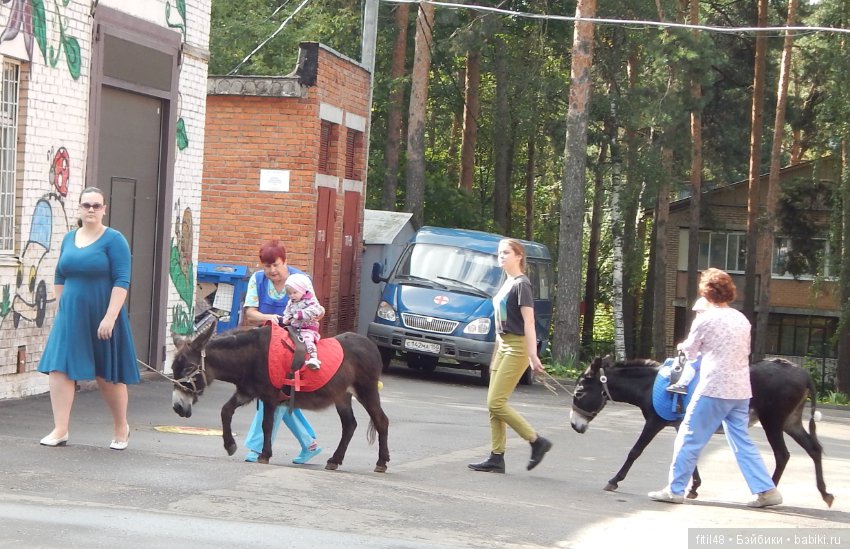 Лечебная верховая езда — Интересное и необычное: фотоподборки