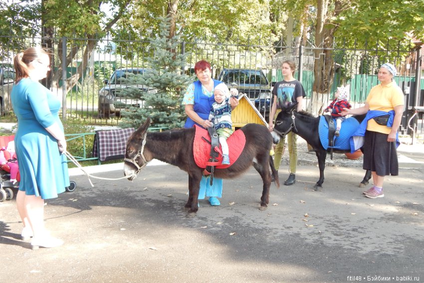 Лечебная верховая езда — Интересное и необычное: фотоподборки