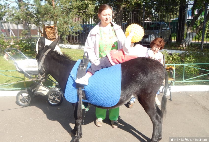 Лечебная верховая езда — Интересное и необычное: фотоподборки