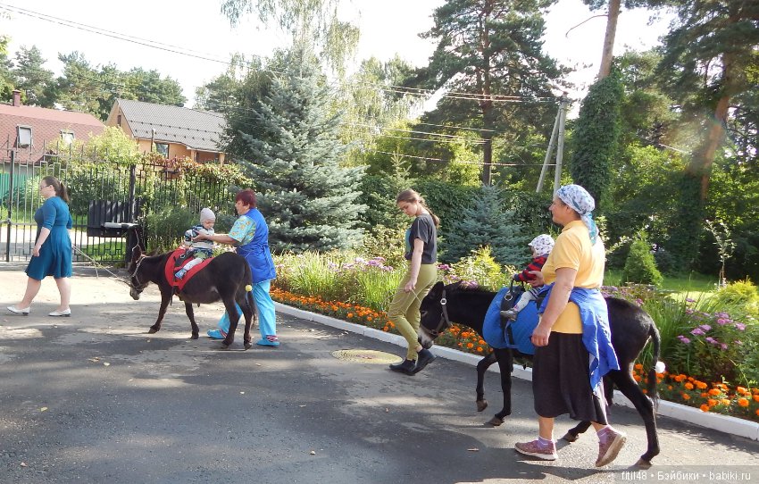 Лечебная верховая езда — Интересное и необычное: фотоподборки