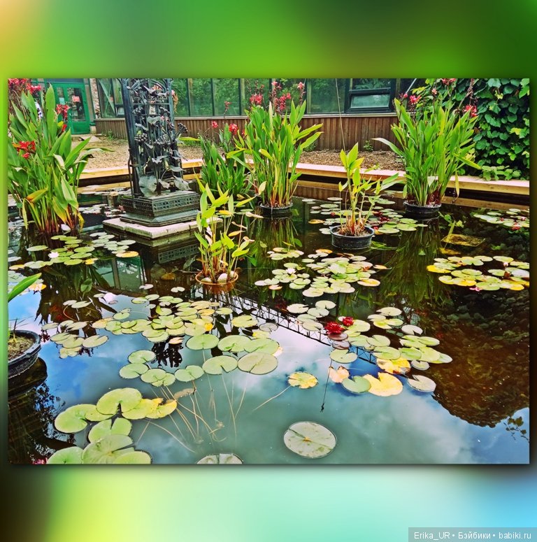 Аптекарский огород (Москва) теперь вот и моими глазами