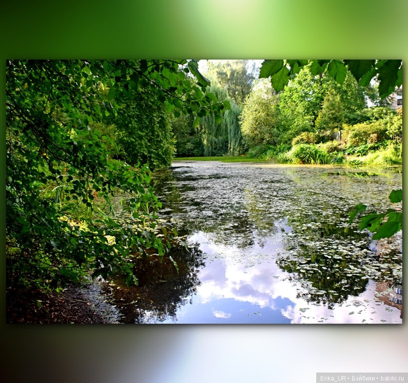 Аптекарский огород (Москва) теперь вот и моими глазами