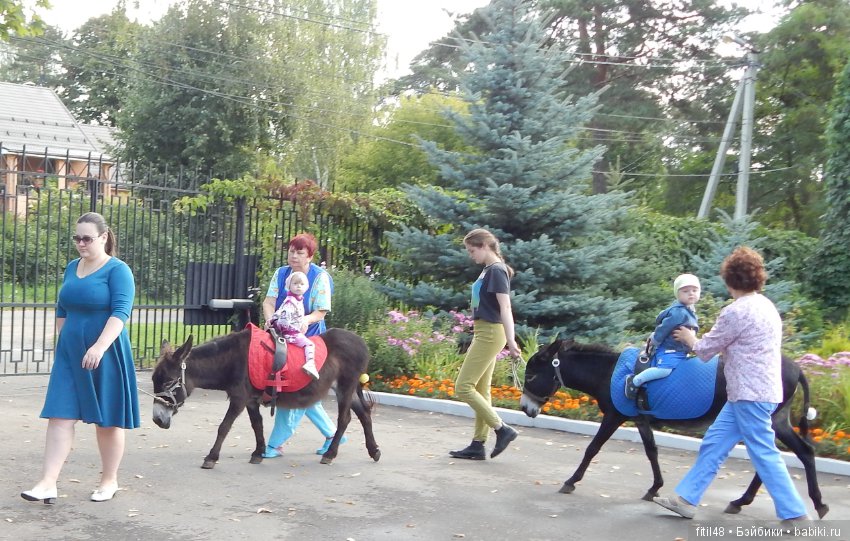 Лечебная верховая езда — Интересное и необычное: фотоподборки (фото 8)