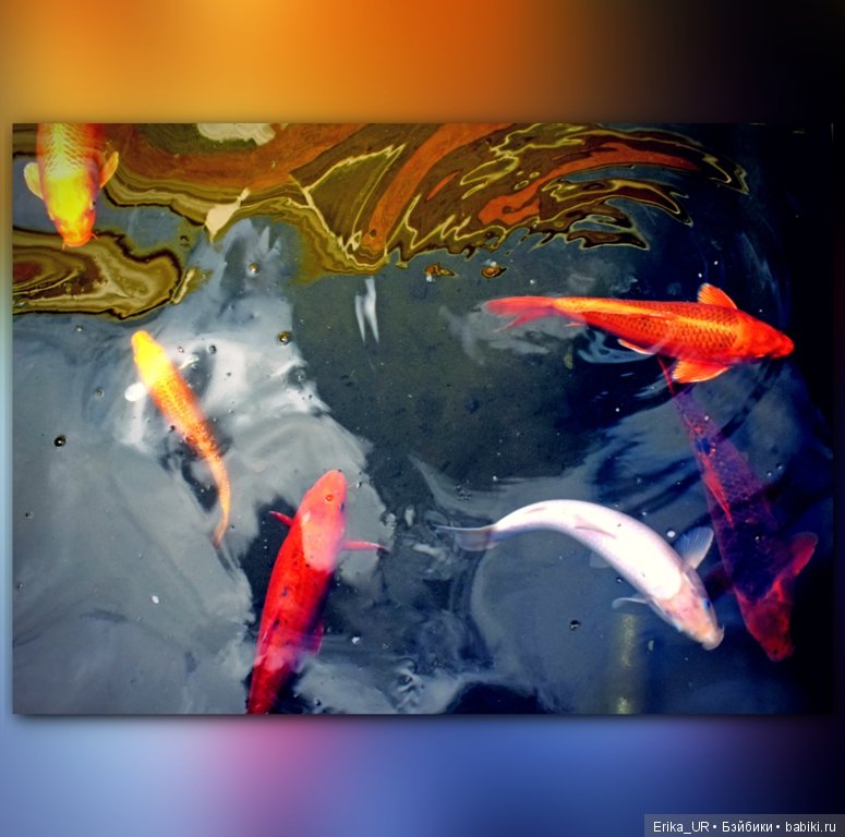 Аптекарский огород (Москва) теперь вот и моими глазами