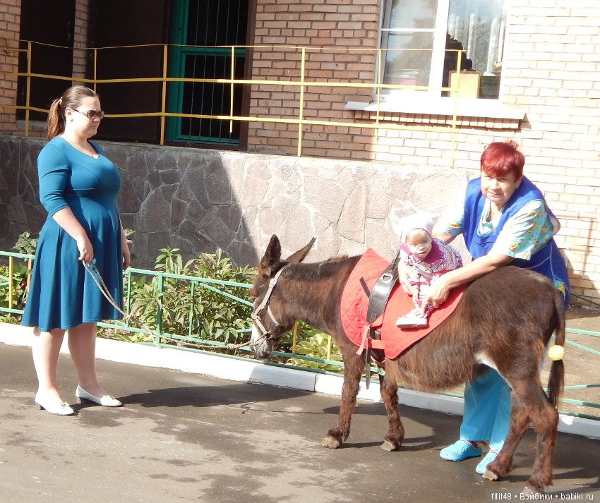 Лечебная верховая езда — Интересное и необычное: фотоподборки