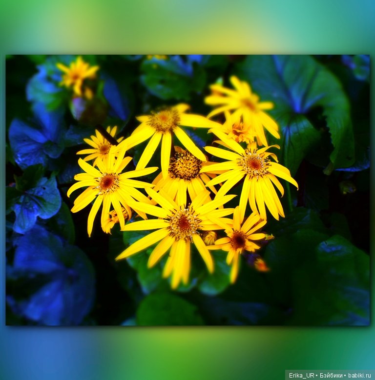 Аптекарский огород (Москва) теперь вот и моими глазами