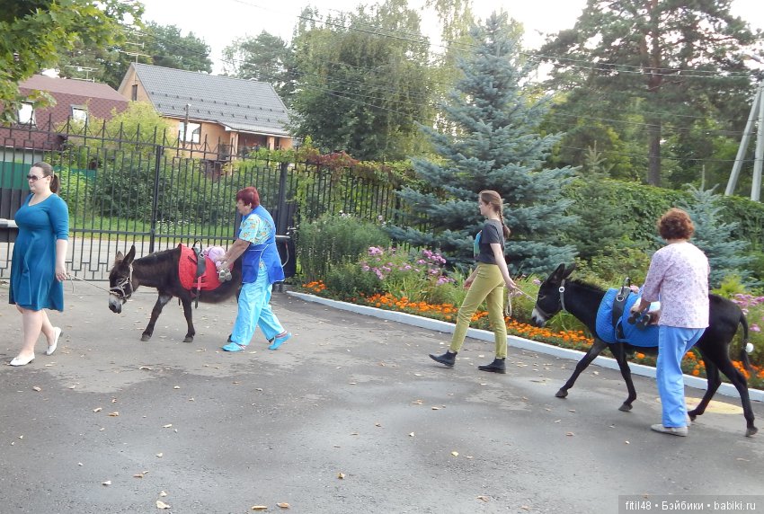 Лечебная верховая езда — Интересное и необычное: фотоподборки (фото 10)