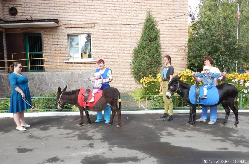 Лечебная верховая езда — Интересное и необычное: фотоподборки