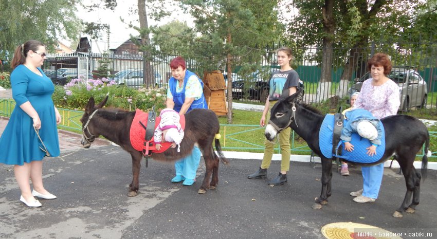 Лечебная верховая езда — Интересное и необычное: фотоподборки