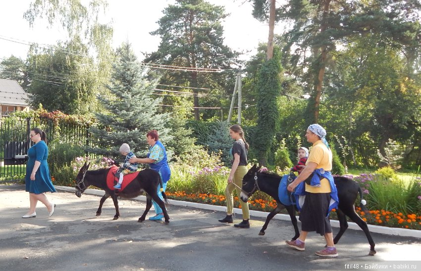 Лечебная верховая езда — Интересное и необычное: фотоподборки