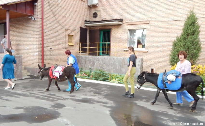 Лечебная верховая езда — Интересное и необычное: фотоподборки