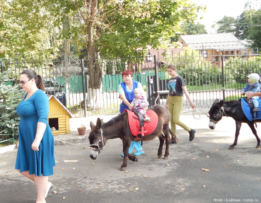 Лечебная верховая езда — Интересное и необычное: фотоподборки (фото 2)