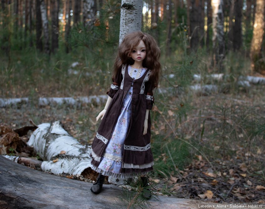 Осенние зарисовки с Алисой (фото 7)