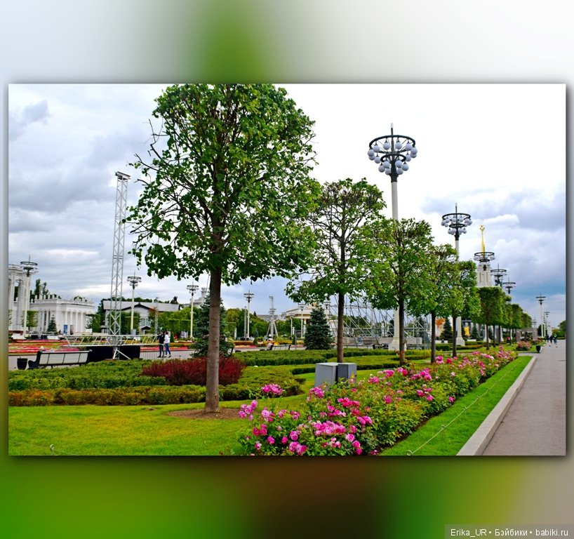 Сопутствующее куклам увлечение. Фото из Москвариума и ВДНХ (5 августа 2019)