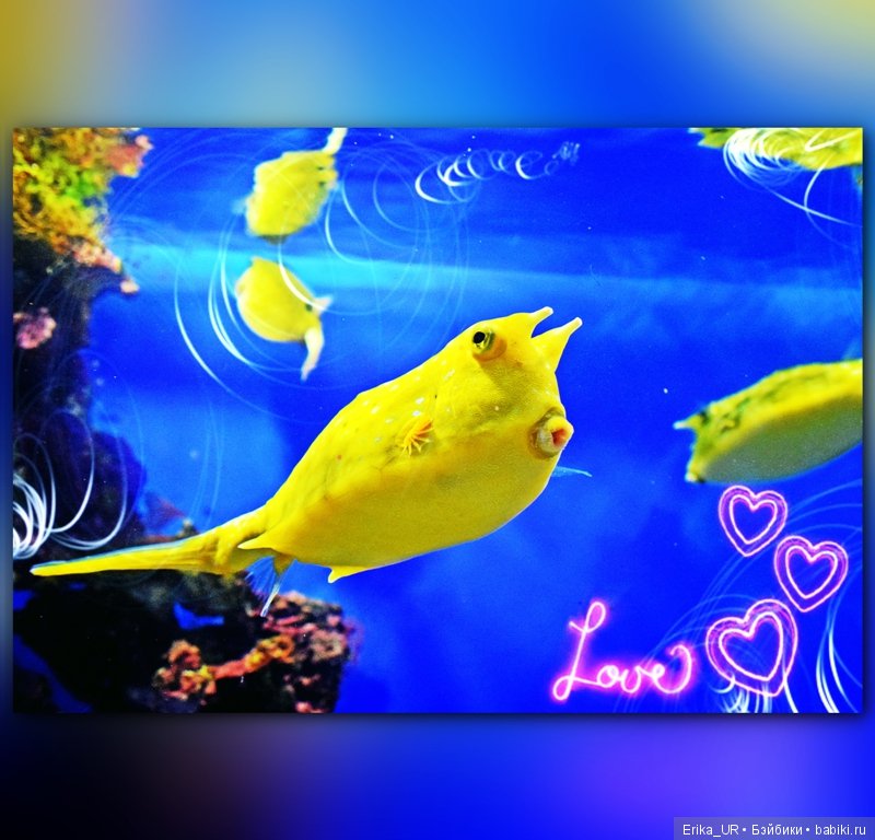 Сопутствующее куклам увлечение. Фото из Москвариума и ВДНХ (5 августа 2019)