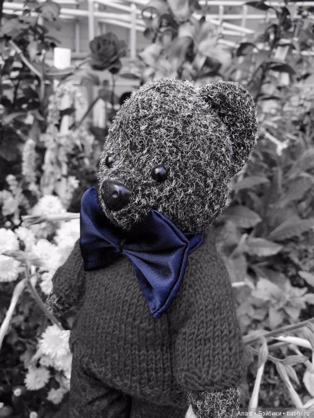 Знакомьтесь, медведь по имени Ров (фото 10)