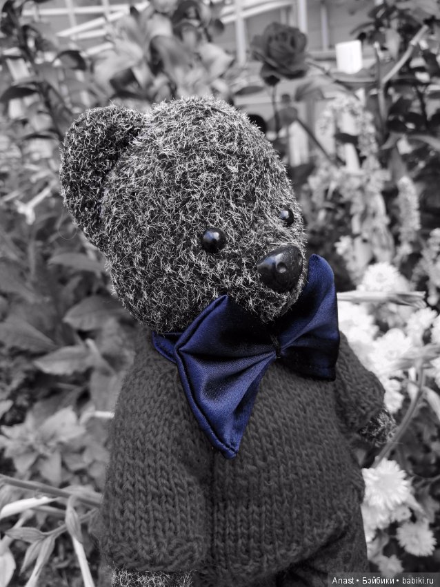 Знакомьтесь, медведь по имени Ров