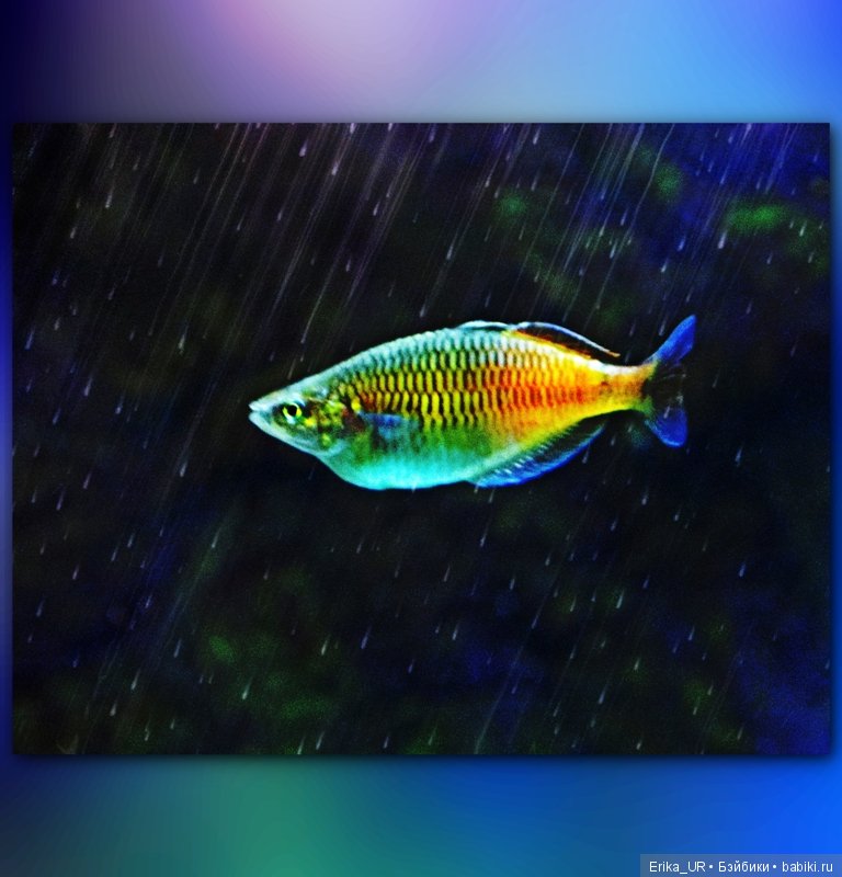 Сопутствующее куклам увлечение. Фото из Москвариума и ВДНХ (5 августа 2019)