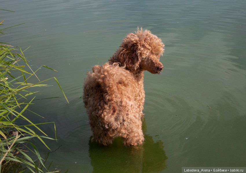 У кого учеба, у кого отдых (фото 10)