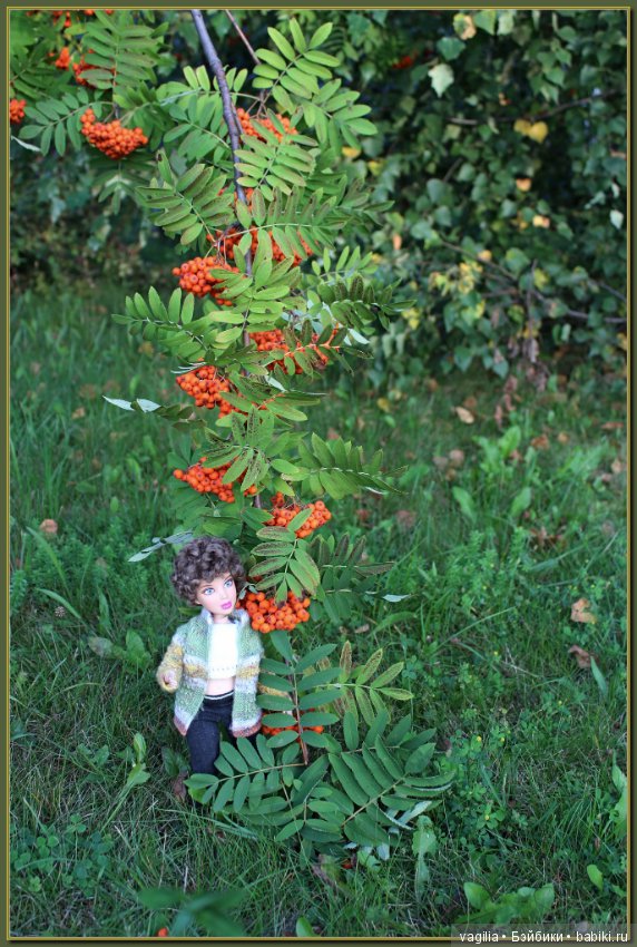 Последний день лета — Болталка и разговоры обо всем: жизнь