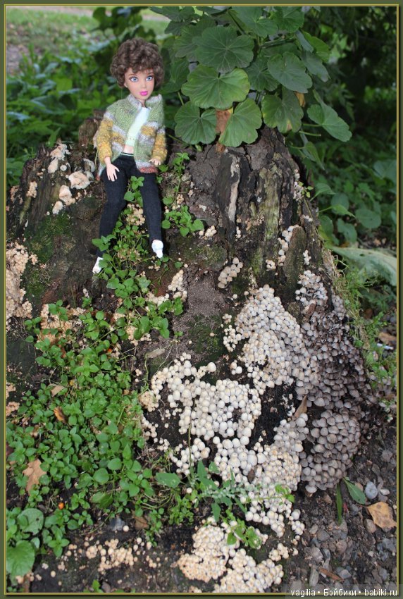 Последний день лета — Болталка и разговоры обо всем: жизнь