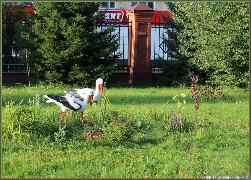 Последний день лета — Болталка и разговоры обо всем: жизнь