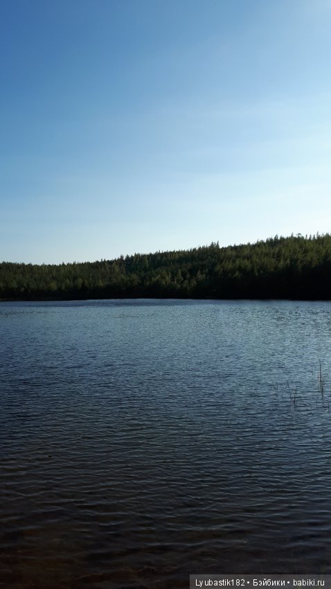 Прогулка Тыквика — Домашние фото авторских игрушек: Тедди