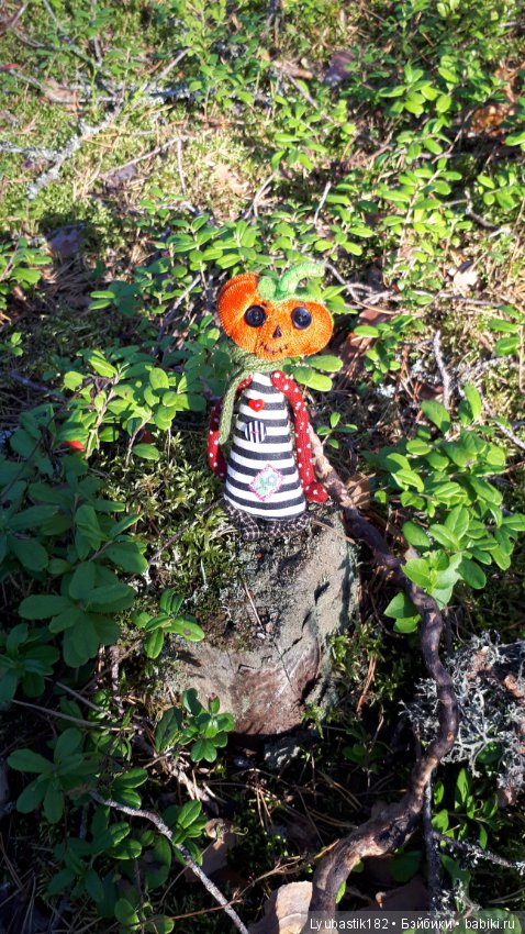 Прогулка Тыквика — Домашние фото авторских игрушек: Тедди (фото 9)