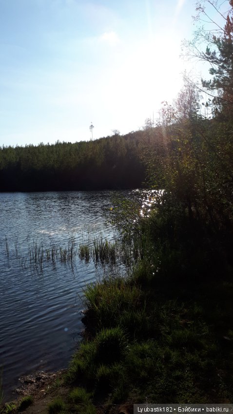 Прогулка Тыквика — Домашние фото авторских игрушек: Тедди (фото 2)