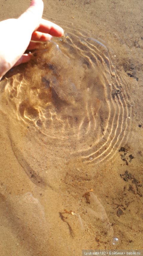 Прогулка Тыквика — Домашние фото авторских игрушек: Тедди (фото 4)