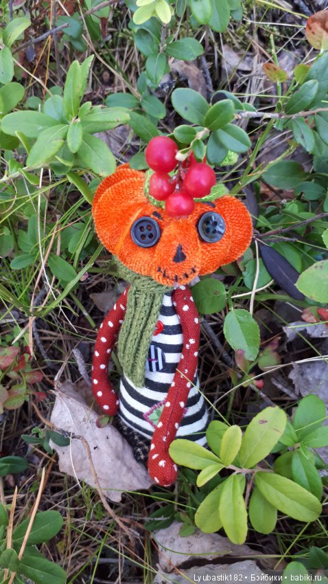 Прогулка Тыквика — Домашние фото авторских игрушек: Тедди