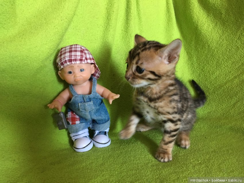 Личный леопард — Куклы D'Anton Jos (Д'Антон Джос): характерные (фото 4)