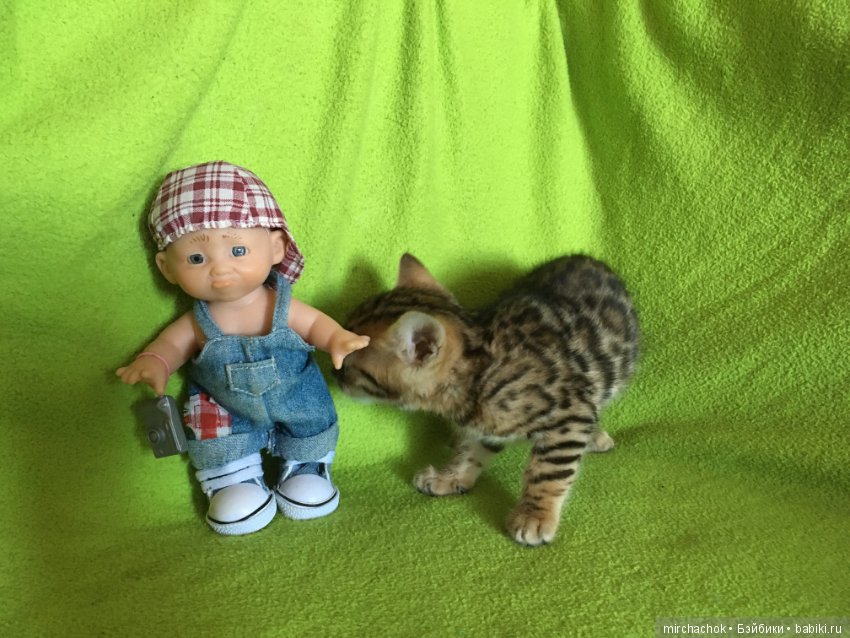 Личный леопард — Куклы D'Anton Jos (Д'Антон Джос): характерные (фото 7)
