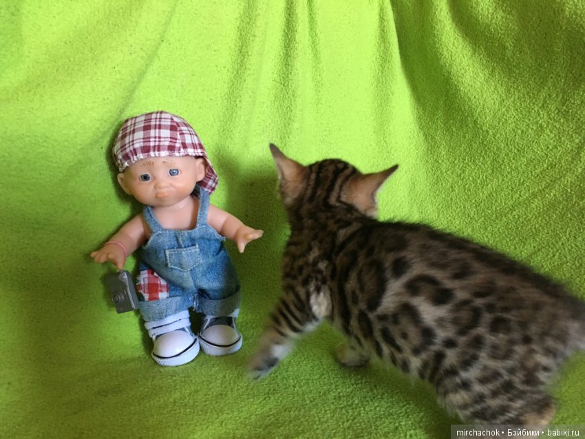 Личный леопард — Куклы D'Anton Jos (Д'Антон Джос): характерные (фото 9)