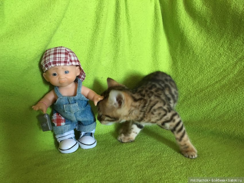 Личный леопард — Куклы D'Anton Jos (Д'Антон Джос): характерные (фото 6)