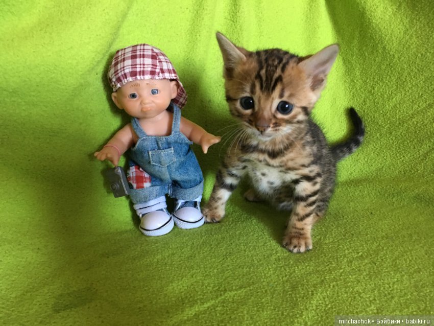 Личный леопард — Куклы D'Anton Jos (Д'Антон Джос): характерные (фото 3)