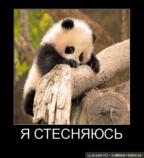 Не надо стесняться — Болталка и разговоры обо всем: жизнь