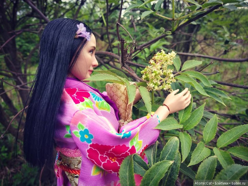 Догадливая невеста — Куклы Phicen (TBLeague/Фицен): бесшовные тела (фото 6)