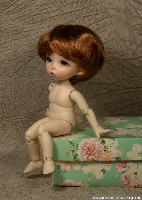 Любовь негаданно нагрянет или как у меня появился пукифи (фото 5)